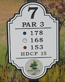 Hole#7